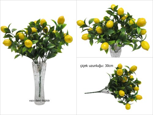 sd49690 yapay limon demeti - 