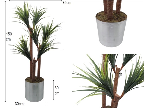sd50167 yapay ağaç (DRESENA ÇİÇEĞİ) - BU ÜRÜN SADECE MAĞAZADAN SATIŞ
