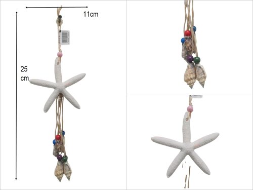 sd50446 deniz kabuklu duvar süsü - 