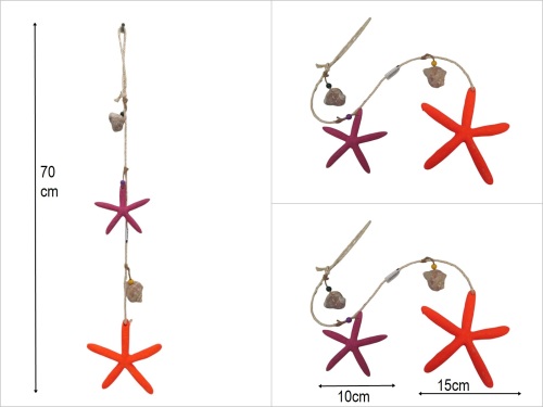 sd50452 deniz kabuklu 2 li deniz yıldızı - 