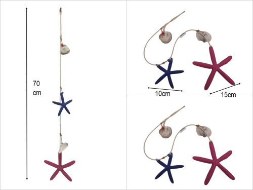 sd50453 deniz kabuklu 2 li deniz yıldızı - 