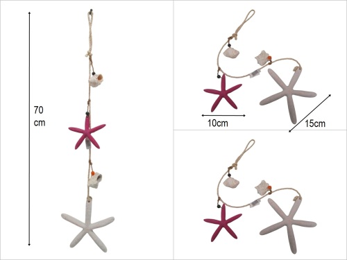 sd50454 deniz kabuklu 2 li deniz yıldızı - 