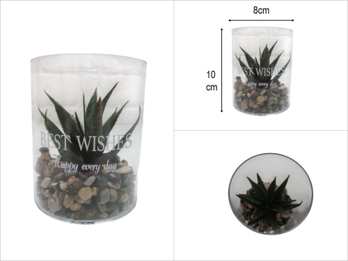 sd50608 dekoratif taşlı akrilik fanus içerisinde koyu yeşil yapay skulent - 