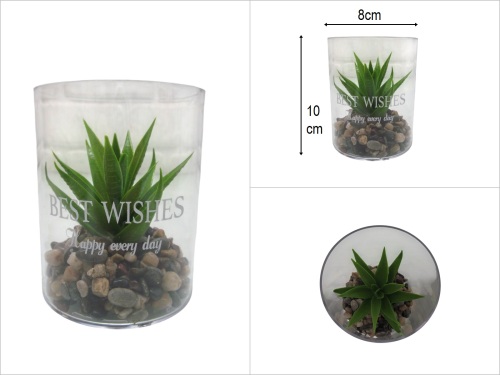 sd50609 dekoratif taşlı akrilik fanus içerisinde yeşil yapay skulent - 
