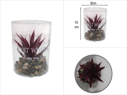 sd50610 dekoratif taşlı akrilik fanus içerisinde bordo yapay skulent - 