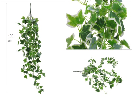 sd50737 sarkan yapay sarmaşık - 