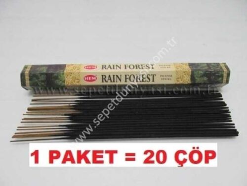 sd42221 tütsü rain forest - 1